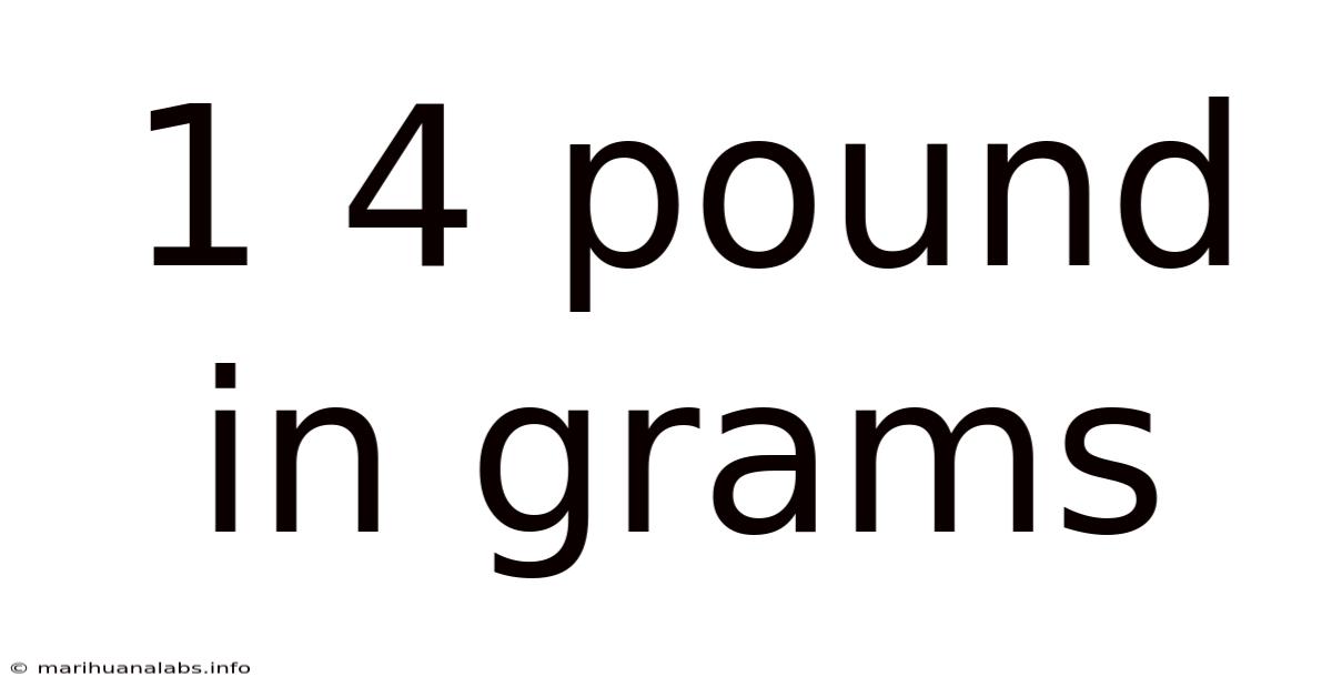 1 4 Pound In Grams