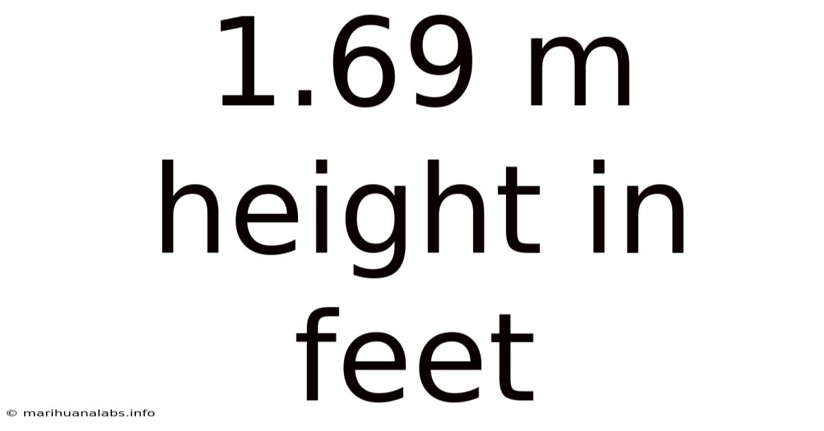 1.69 M Height In Feet