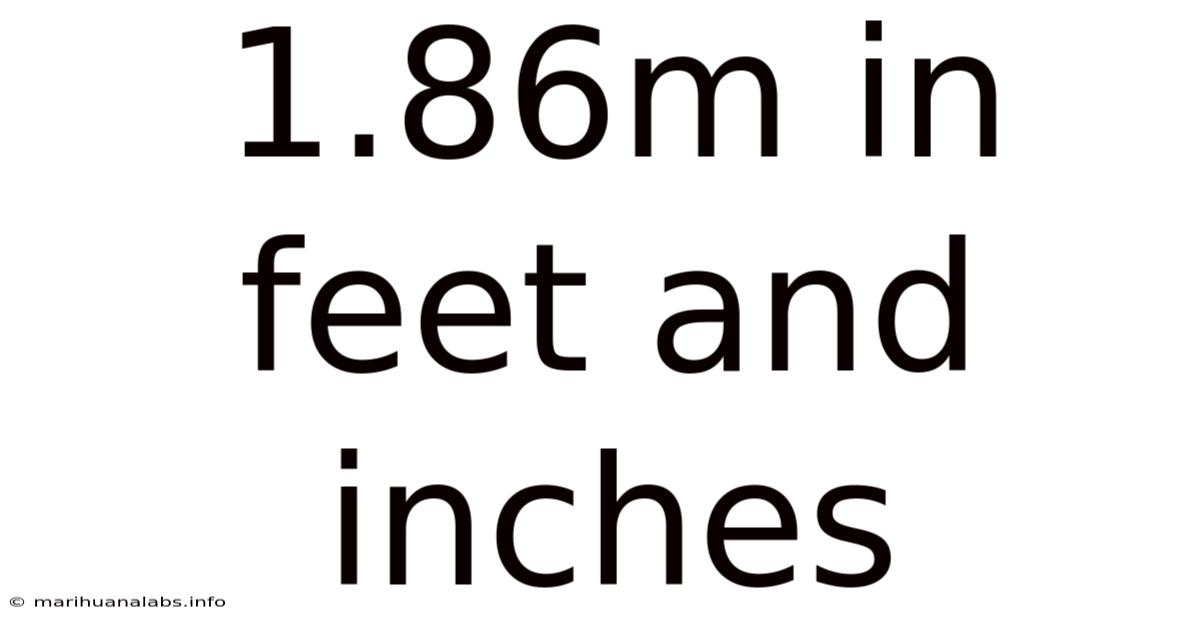 1.86m In Feet And Inches