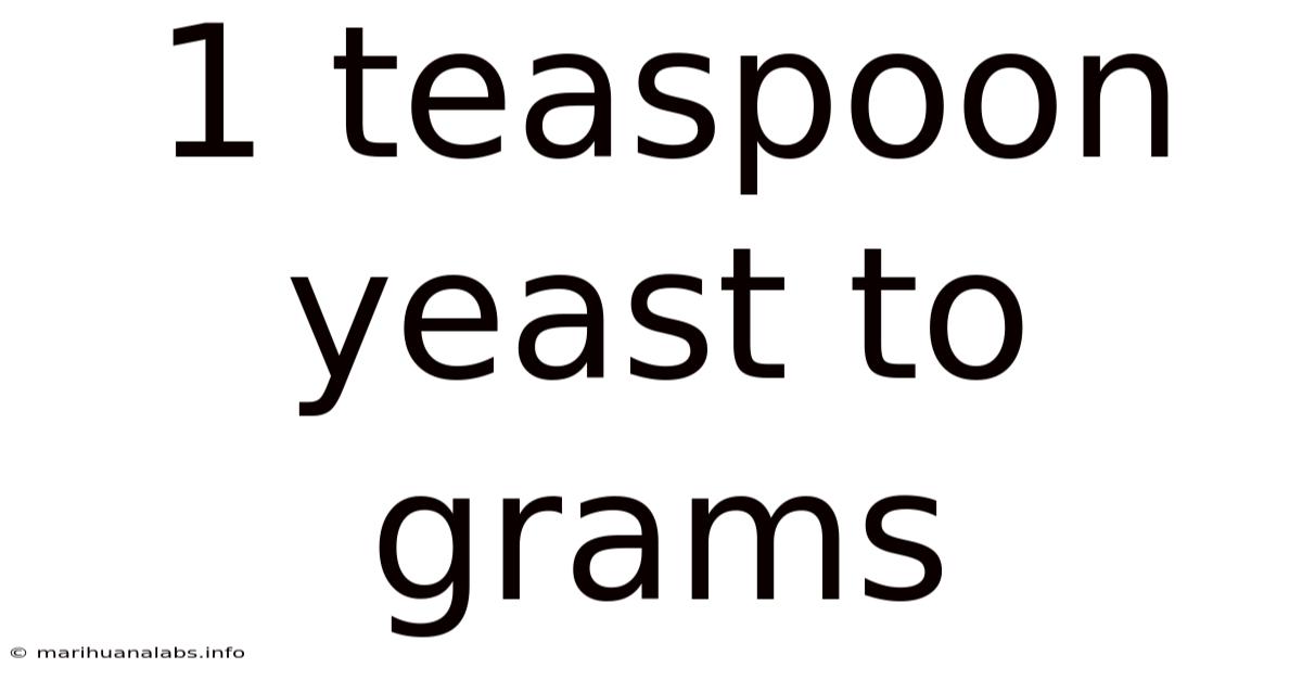 1 Teaspoon Yeast To Grams