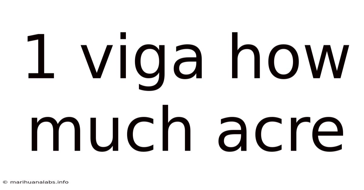 1 Viga How Much Acre