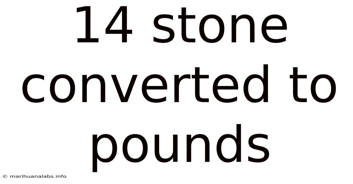 14 Stone Converted To Pounds