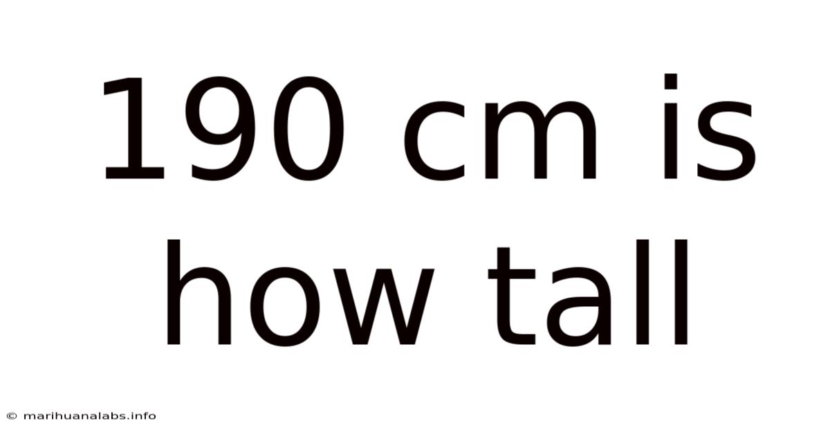 190 Cm Is How Tall