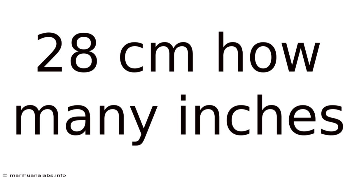 28 Cm How Many Inches
