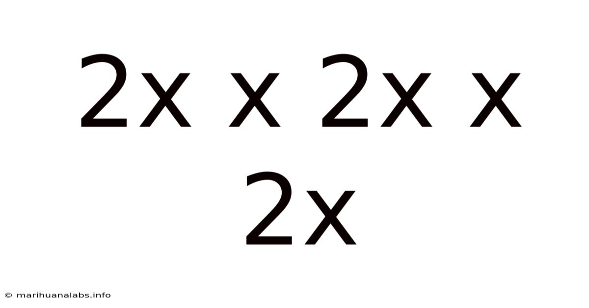 2x X 2x X 2x