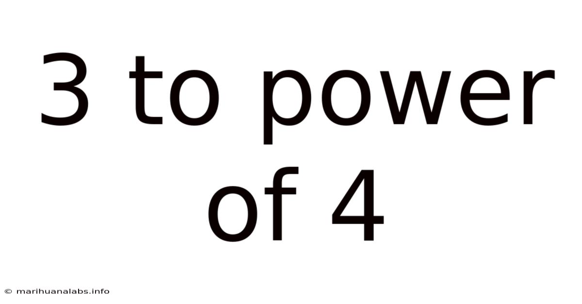 3 To Power Of 4