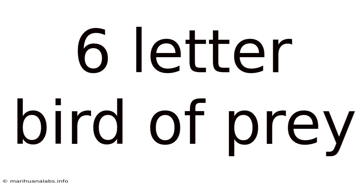 6 Letter Bird Of Prey