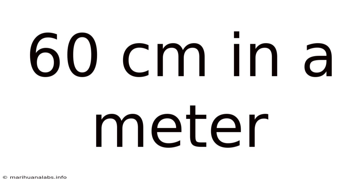 60 Cm In A Meter