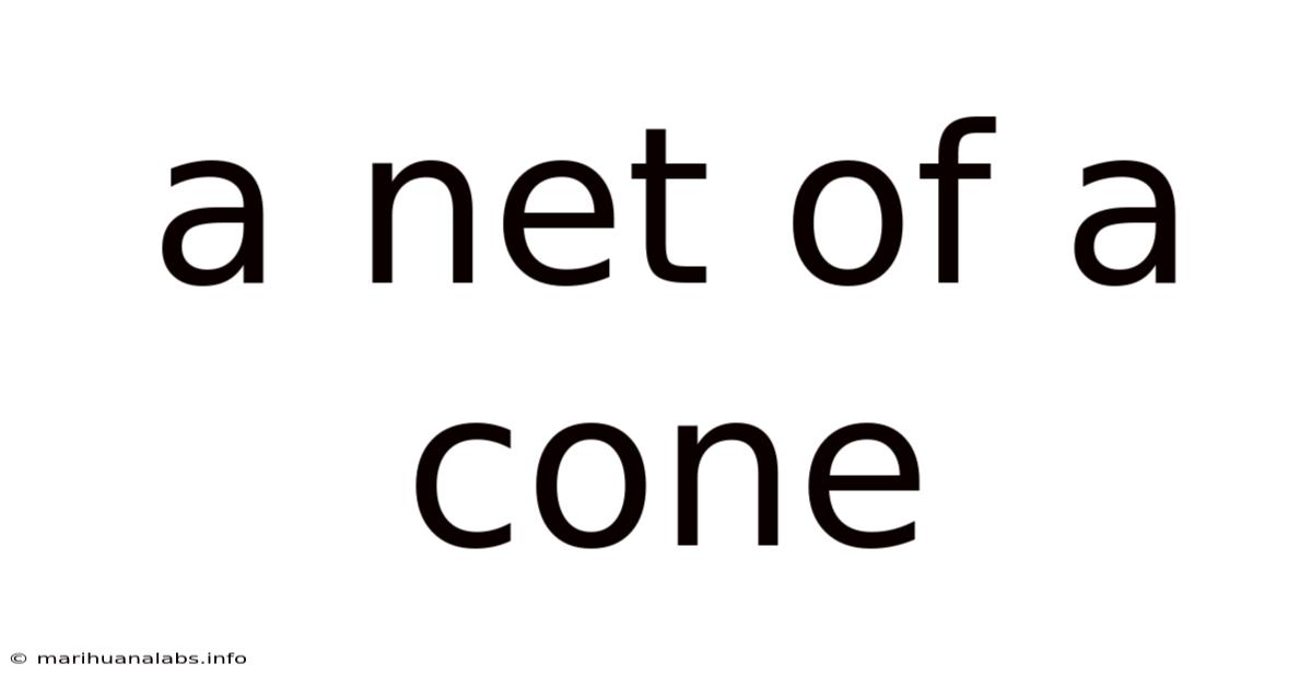 A Net Of A Cone
