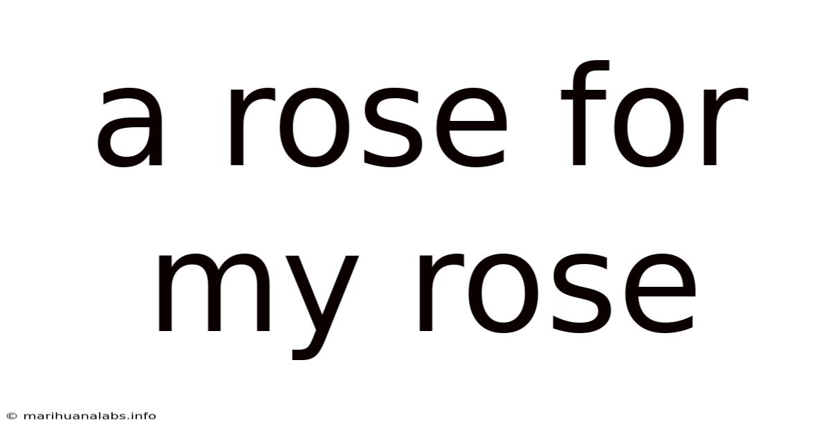 A Rose For My Rose