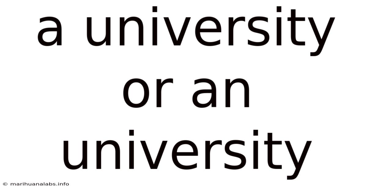 A University Or An University