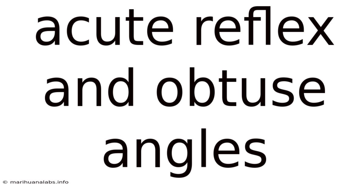Acute Reflex And Obtuse Angles