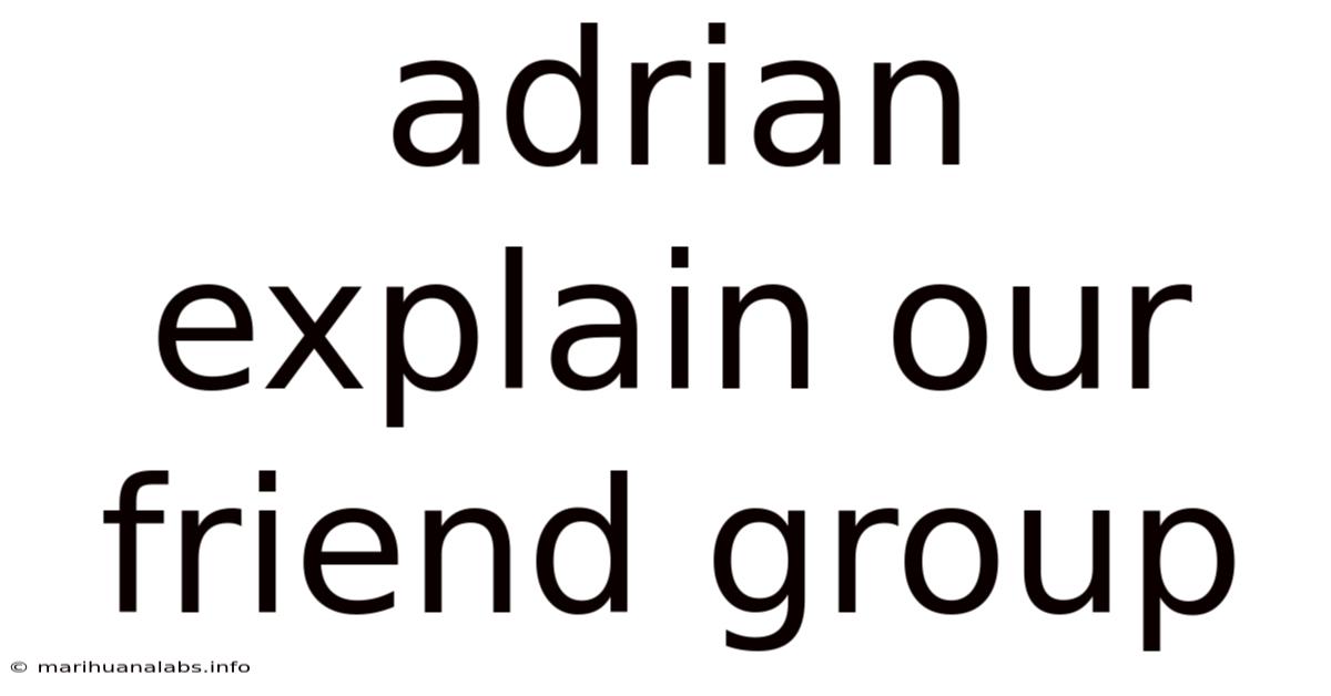 Adrian Explain Our Friend Group