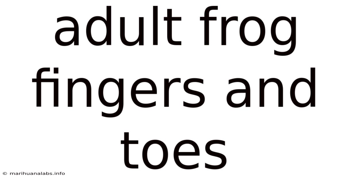 Adult Frog Fingers And Toes