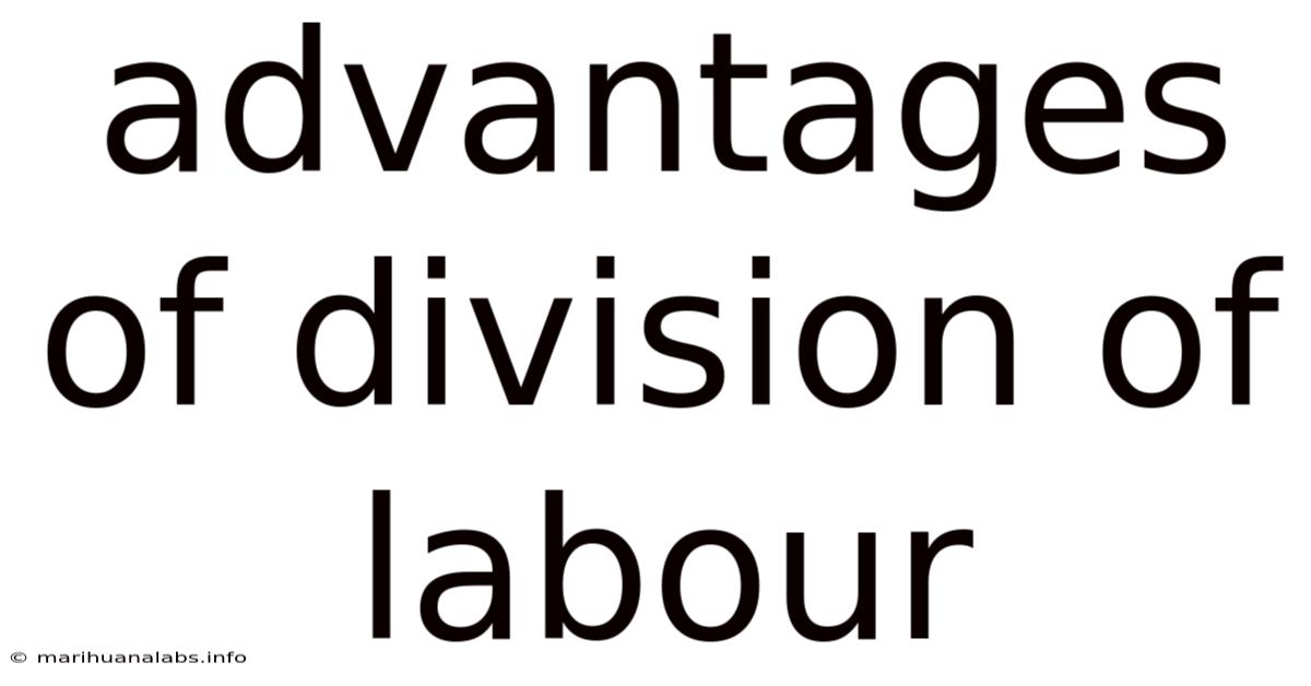 Advantages Of Division Of Labour