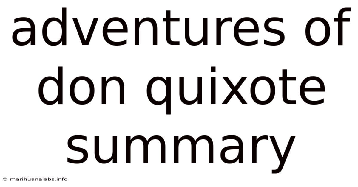 Adventures Of Don Quixote Summary