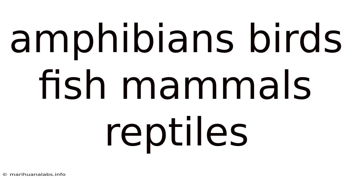 Amphibians Birds Fish Mammals Reptiles