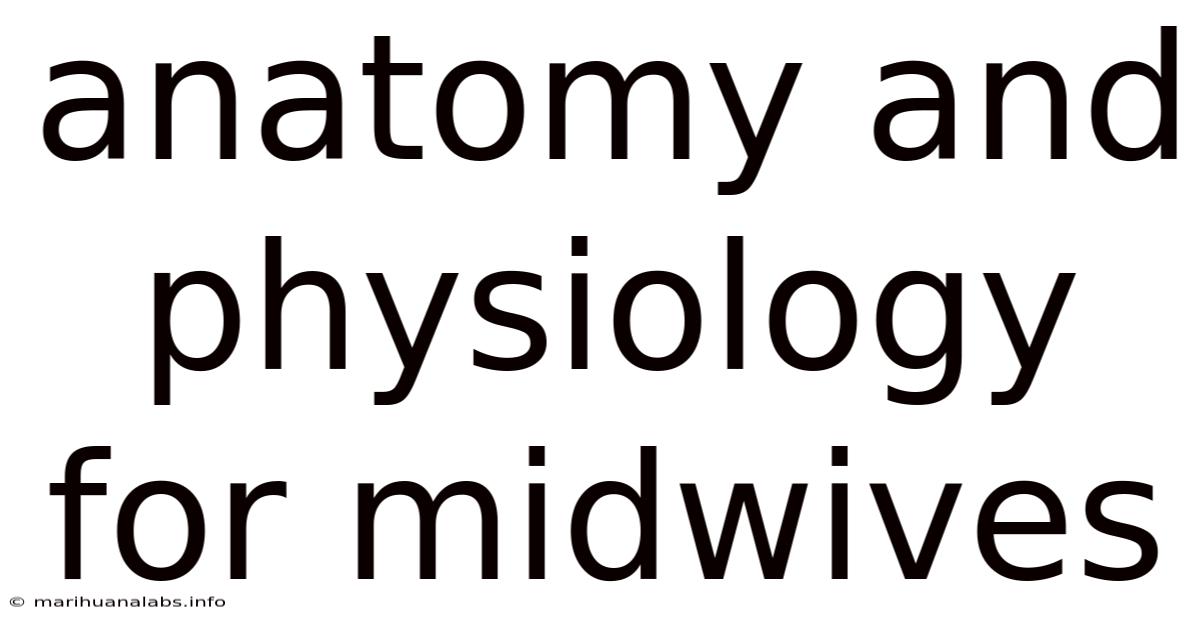 Anatomy And Physiology For Midwives