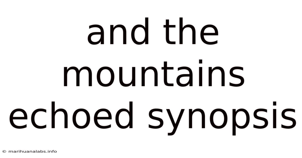 And The Mountains Echoed Synopsis