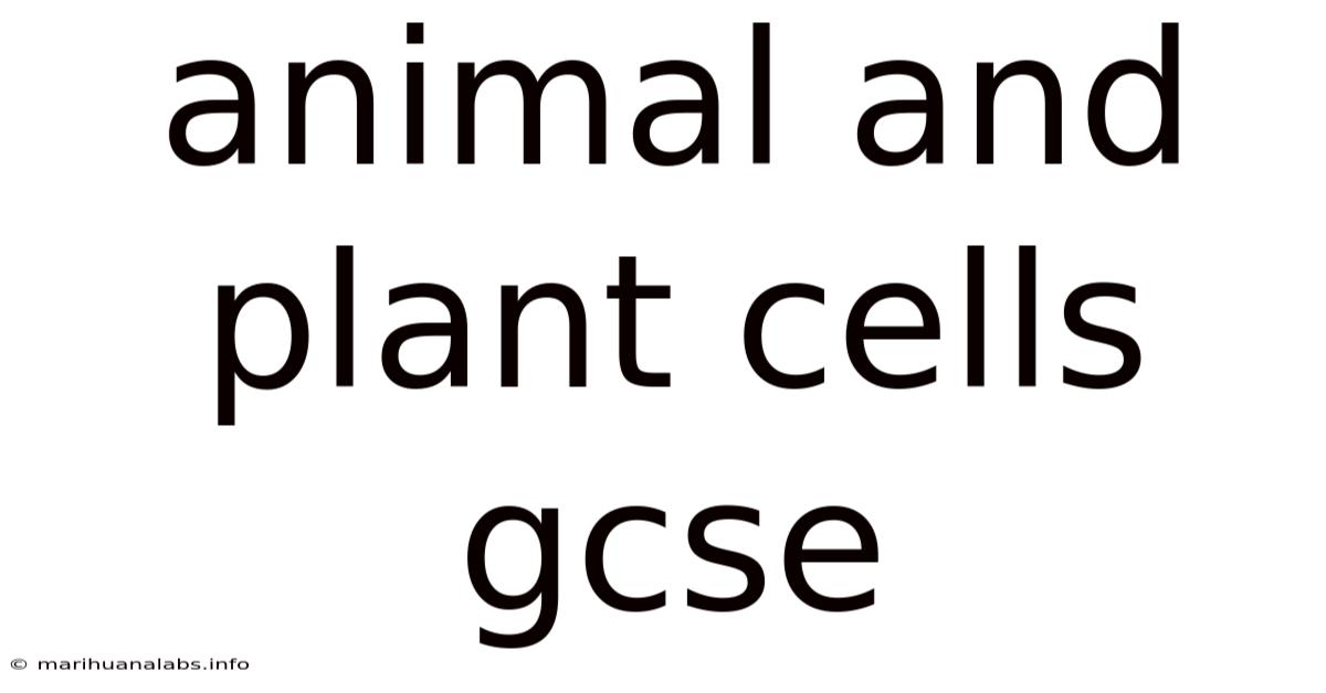 Animal And Plant Cells Gcse