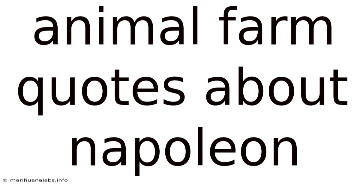 Animal Farm Quotes About Napoleon