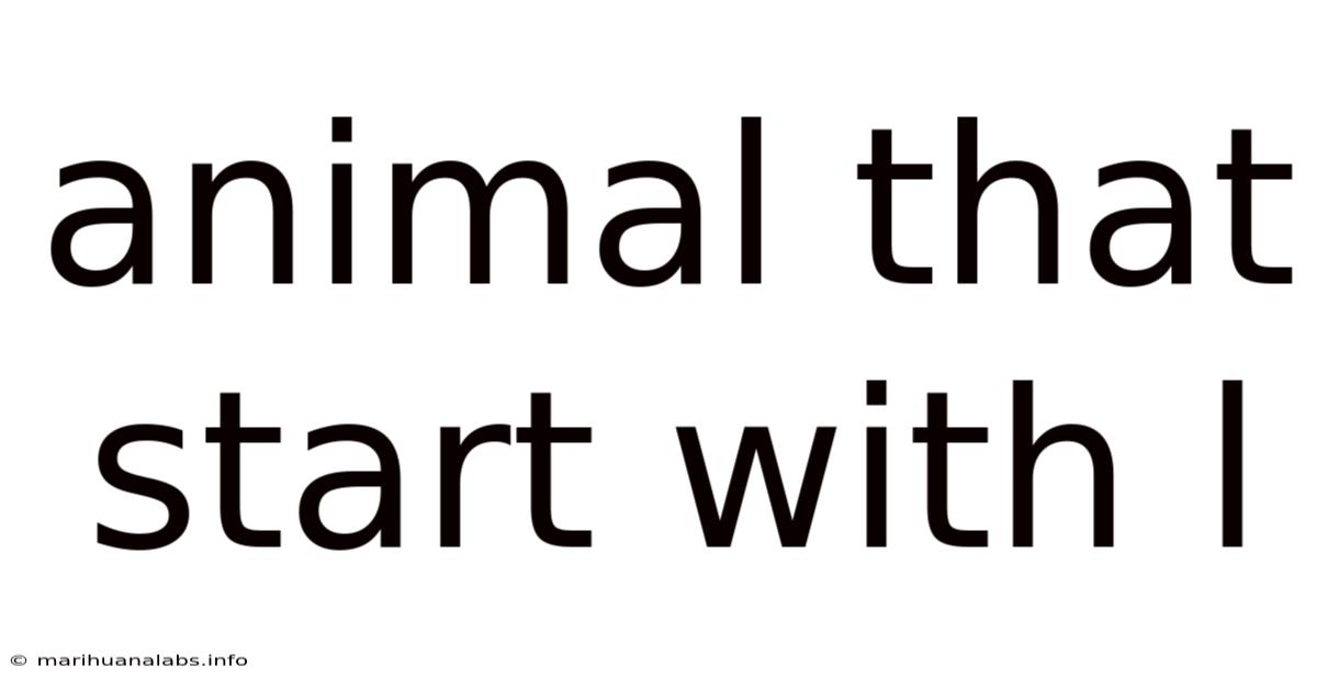 Animal That Start With L