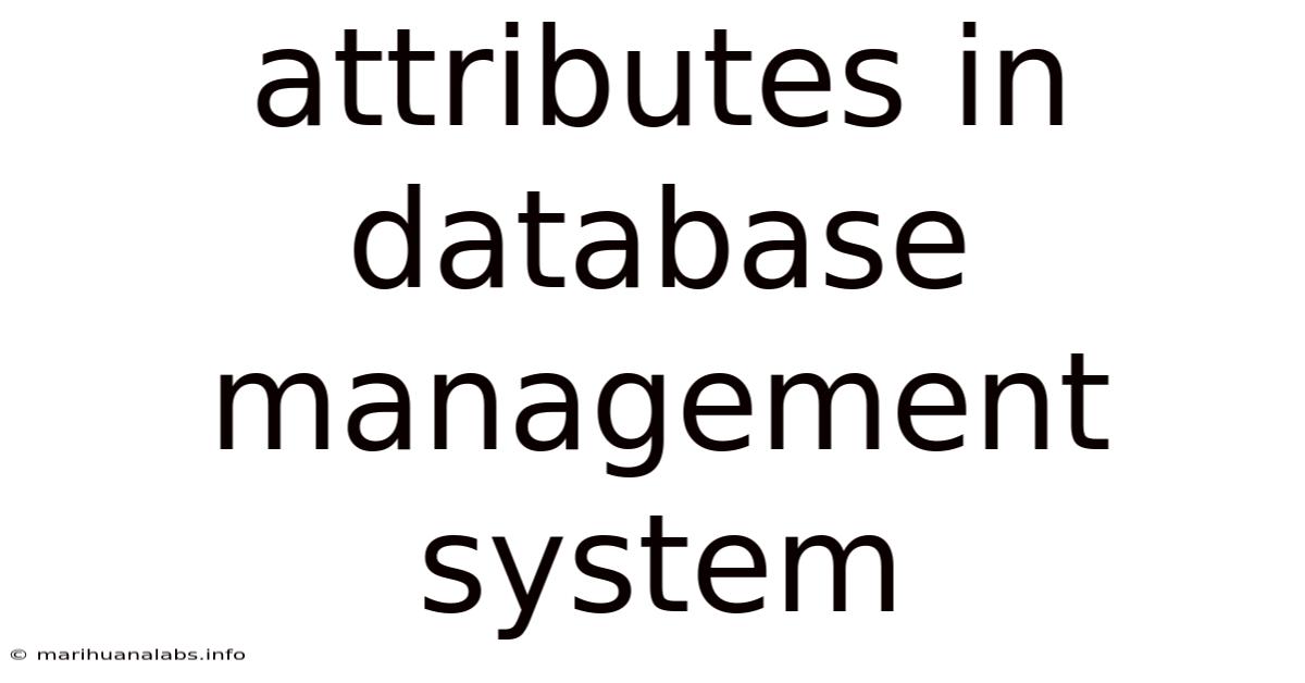 Attributes In Database Management System