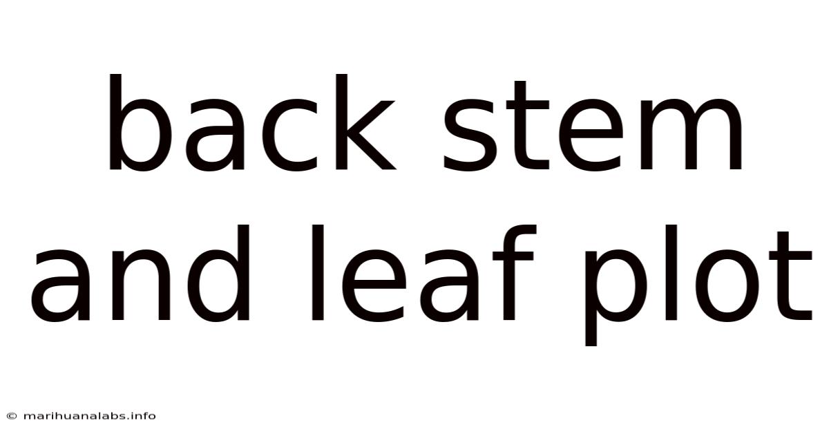 Back Stem And Leaf Plot