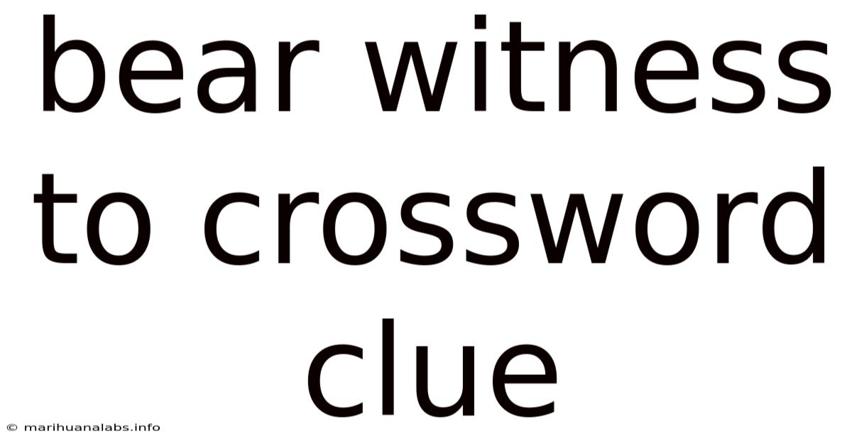 Bear Witness To Crossword Clue