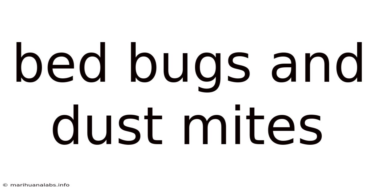 Bed Bugs And Dust Mites
