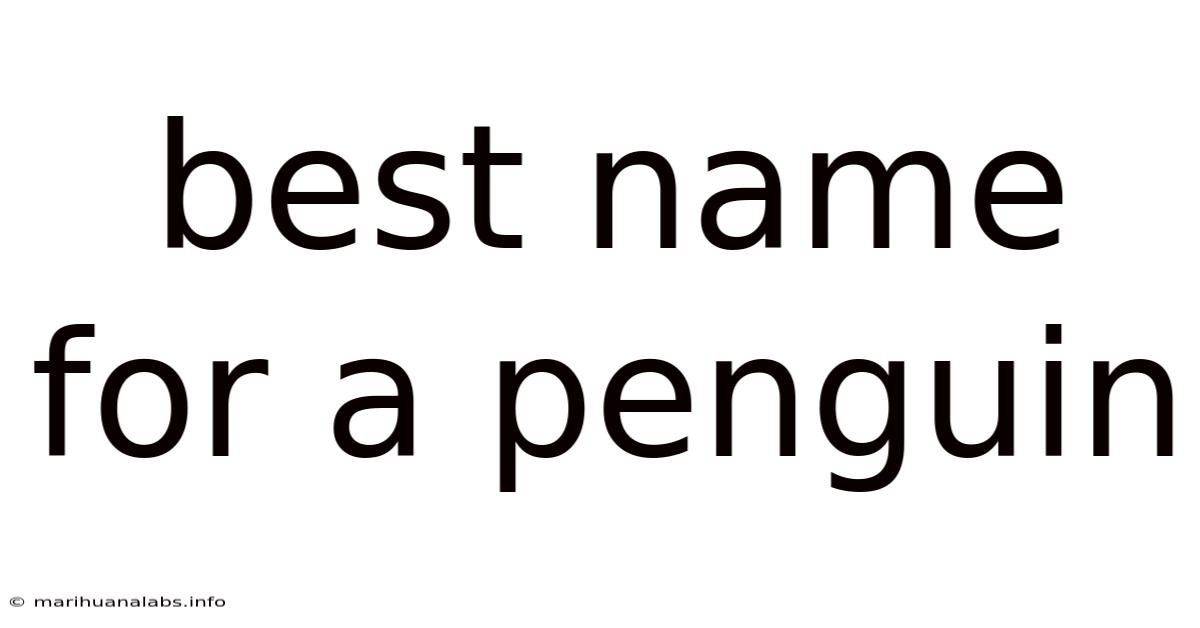 Best Name For A Penguin