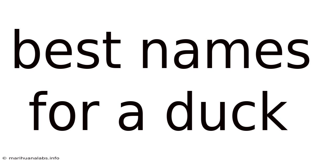 Best Names For A Duck