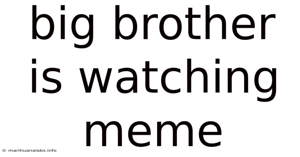Big Brother Is Watching Meme