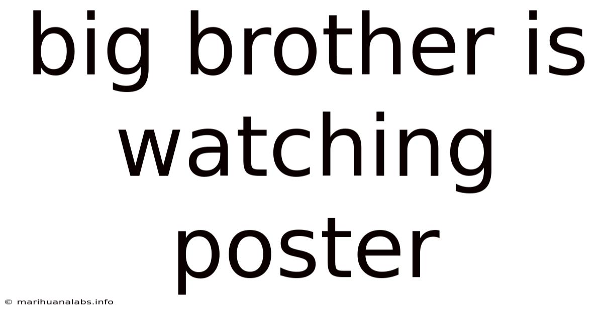 Big Brother Is Watching Poster