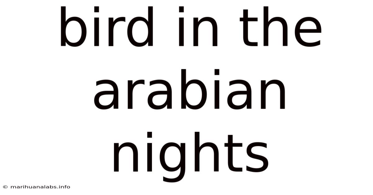 Bird In The Arabian Nights