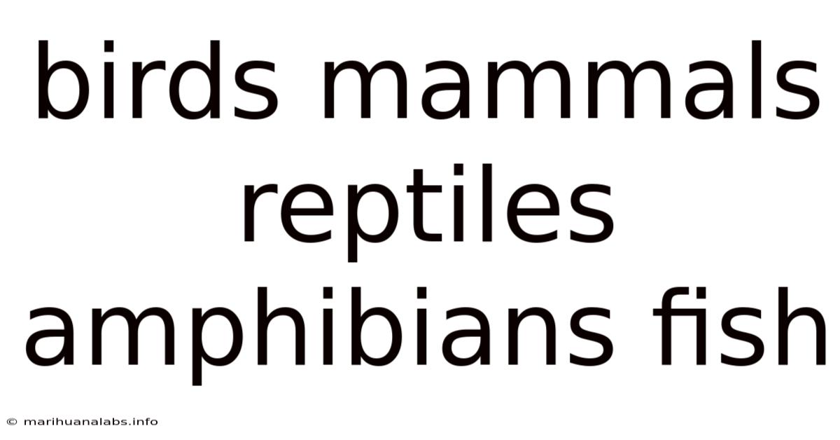 Birds Mammals Reptiles Amphibians Fish