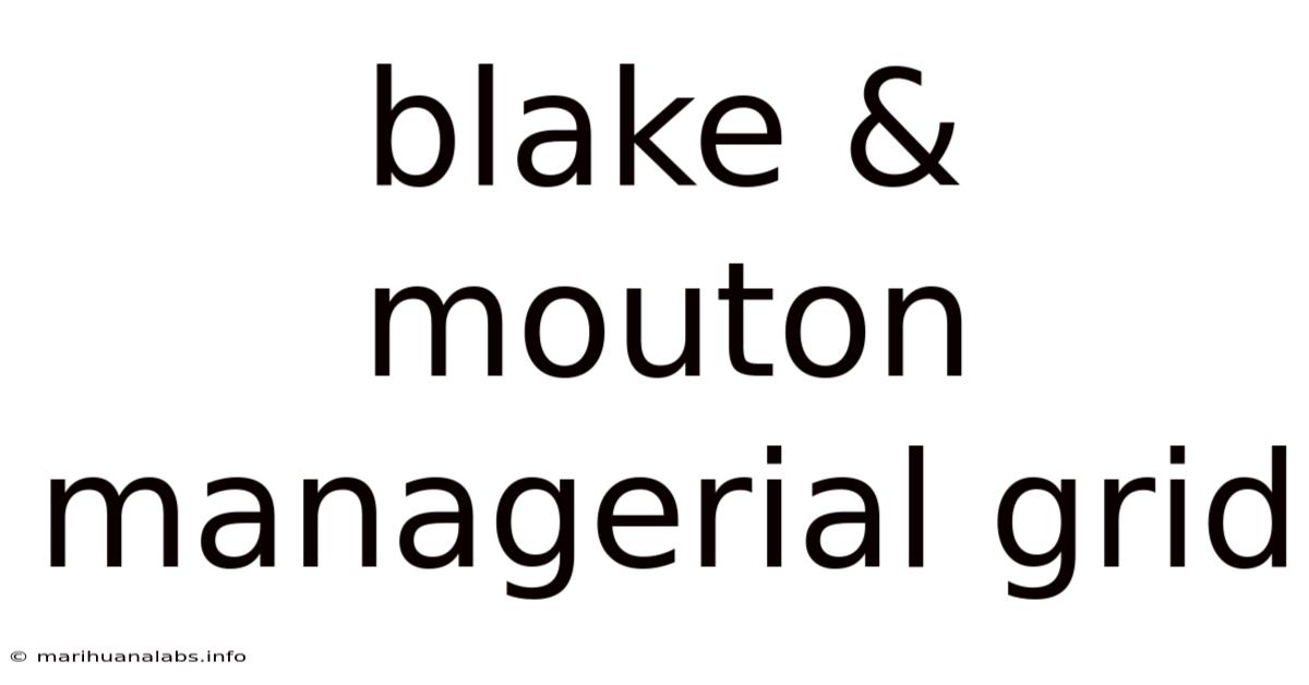 Blake & Mouton Managerial Grid