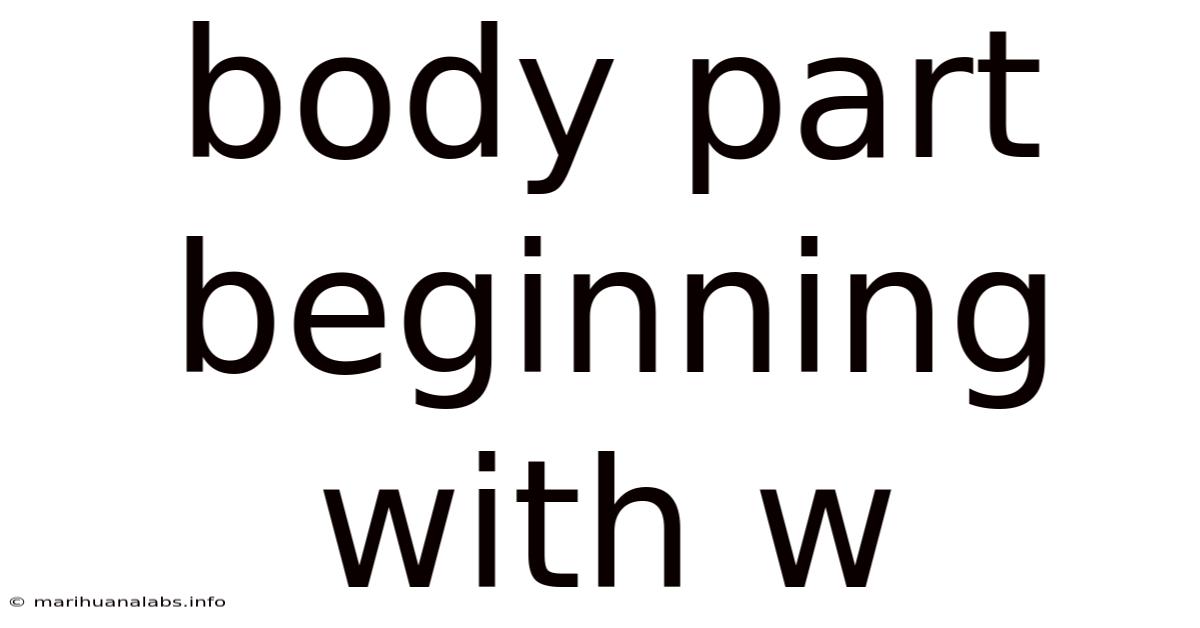 Body Part Beginning With W