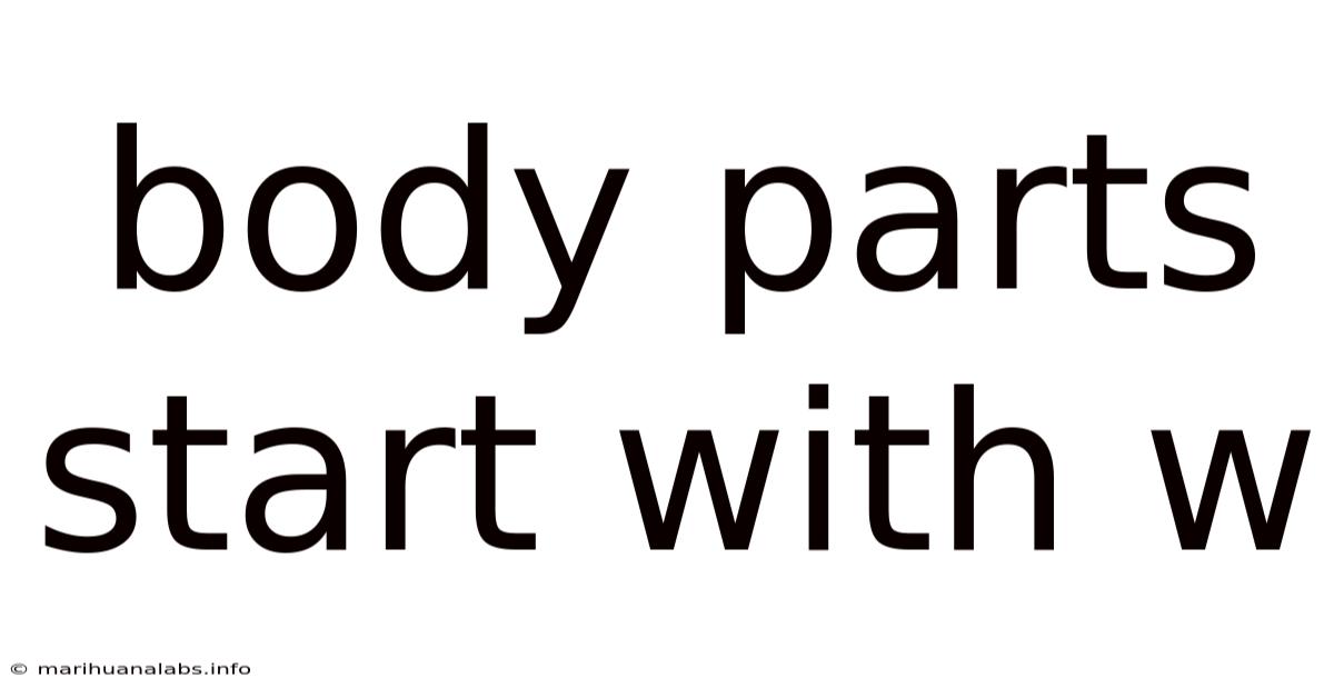 Body Parts Start With W