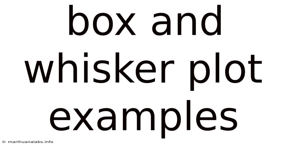 Box And Whisker Plot Examples