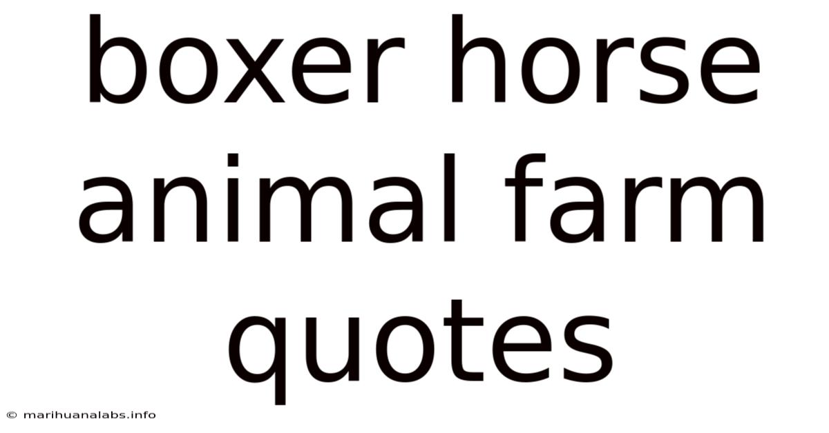 Boxer Horse Animal Farm Quotes