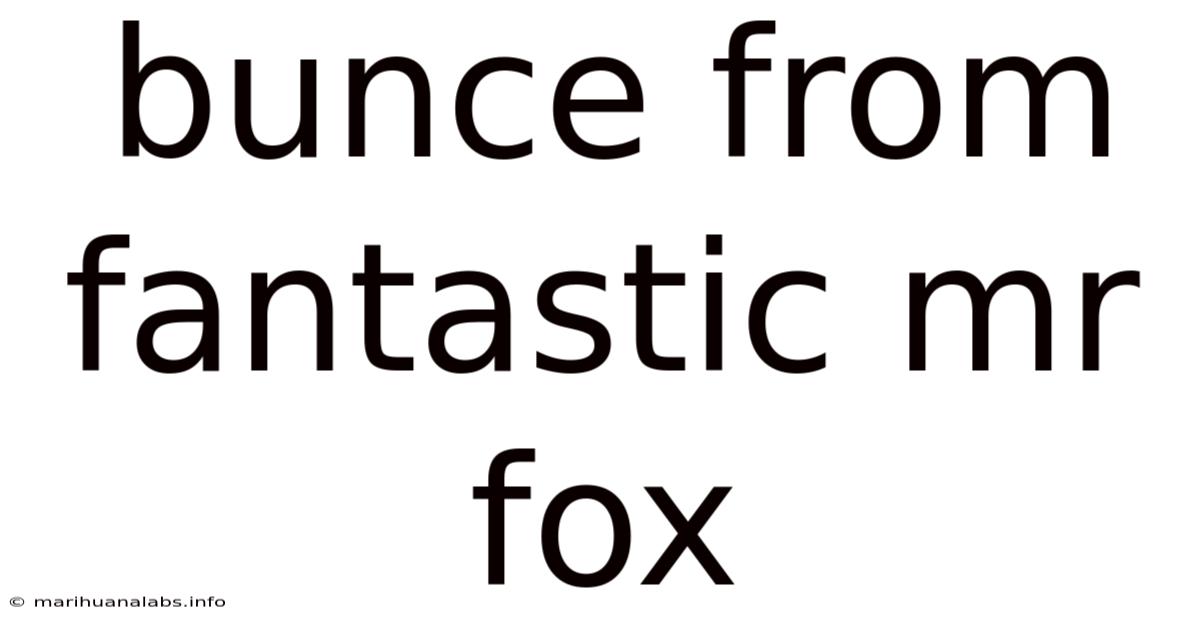 Bunce From Fantastic Mr Fox