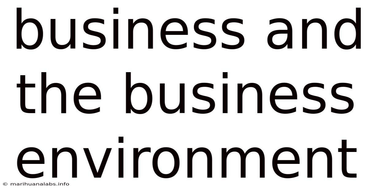 Business And The Business Environment
