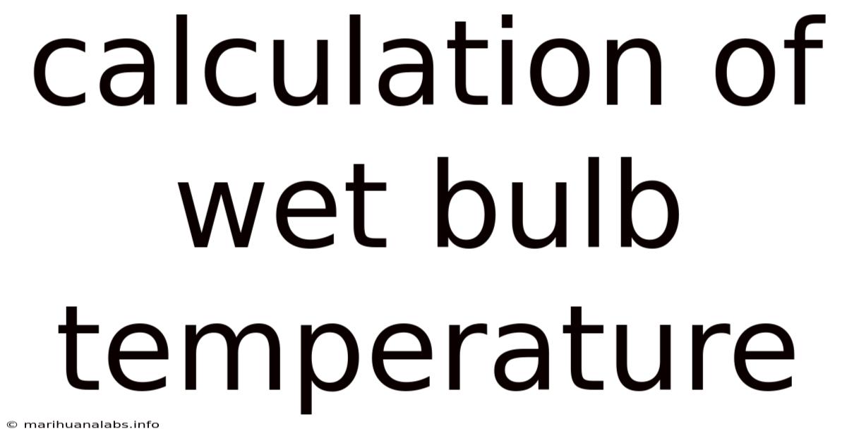 Calculation Of Wet Bulb Temperature