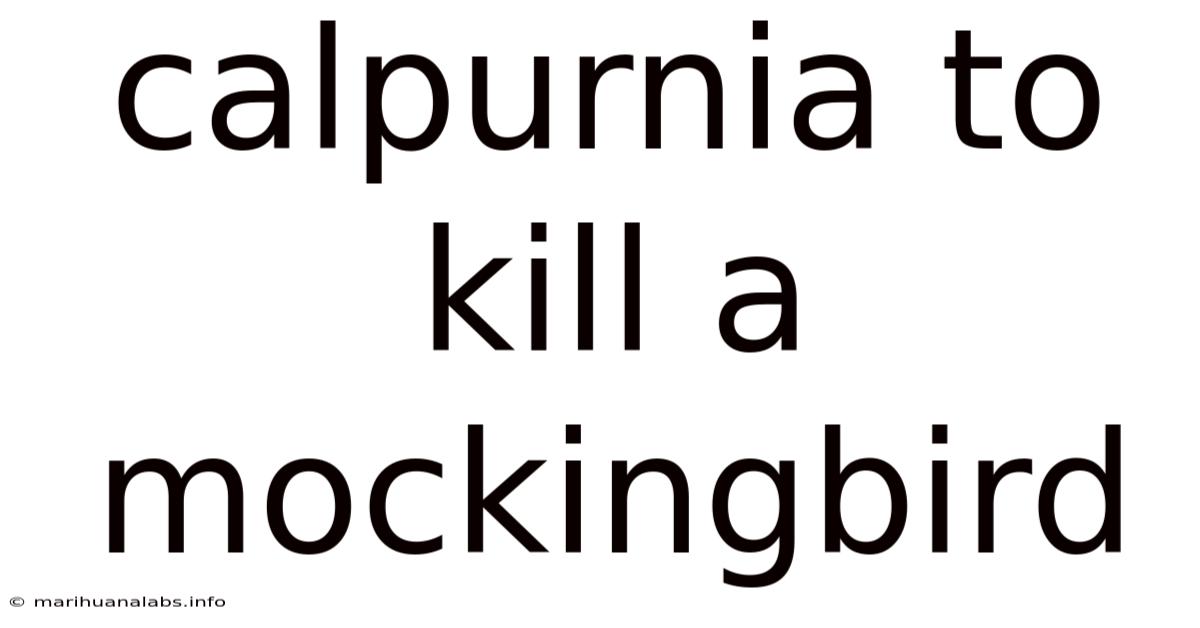 Calpurnia To Kill A Mockingbird