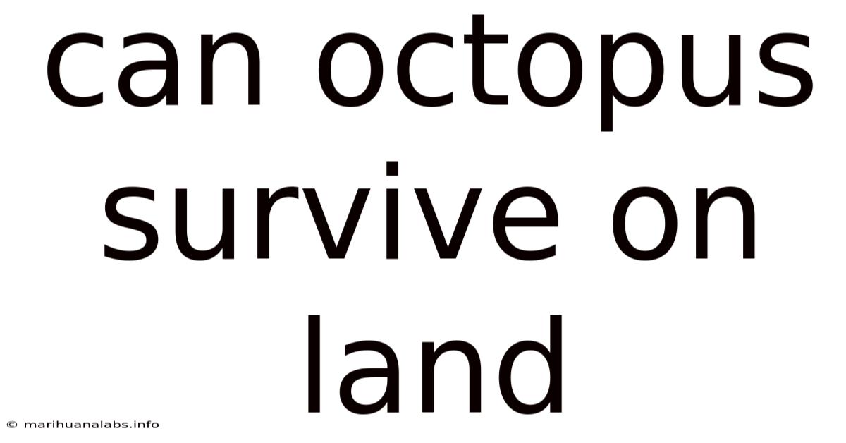 Can Octopus Survive On Land