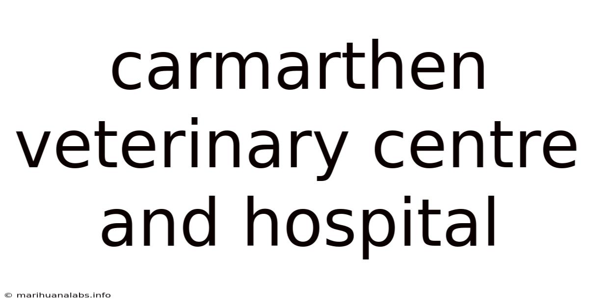 Carmarthen Veterinary Centre And Hospital