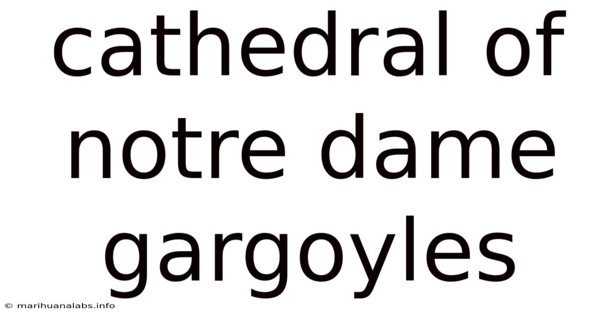 Cathedral Of Notre Dame Gargoyles
