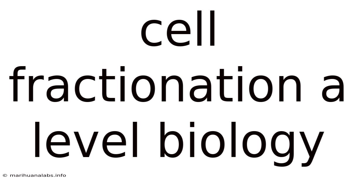 Cell Fractionation A Level Biology