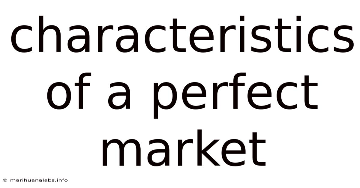 Characteristics Of A Perfect Market